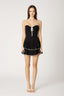 Lace Reverie Mini Dress