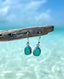 SS Bezel Drop Earrings
