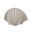 Shimmering Shell | Medium | Flat Hair Clip