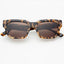 Hayden Acetate Unisex Sunglasses