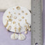 Seashell Starfish And Pearl Earring Set