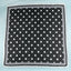 Polka Dot With Dotted Border Print Satin Square Scarf
