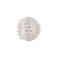 Sand Dollar | Medium | Flat Shape Hair Clip