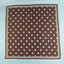 Polka Dot With Dotted Border Print Satin Square Scarf