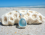 SS Petite Sea Glass Pendant Necklace