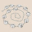 Seashell Link Chain Belt