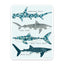 "The Happy Sea" Stickers