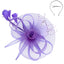 Floral Feathered Organza Mesh Fascinator
