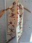 Double Sided Scarf