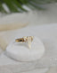 Shark Tooth Ring