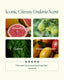 Product description card with images of grapefruit, lime, cypress, and mango mandarin, labeled as 'Iconic Citrusy Undaria Scent'.