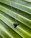 Shark Tooth Necklace