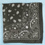 Bandana Paisley Print Satin Square Scarf - Hallelu Clothing Boutique