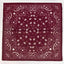Bandana Paisley Print Satin Square Scarf - Hallelu Clothing Boutique