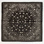 Bandana Paisley Print Satin Square Scarf - Hallelu Clothing Boutique