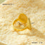 Ocean Starfish Shell Stainless Steel Ring_CWMM12421