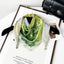 Magnetic Print Triangle Scarf for  Spring Style_CWASC02917