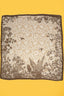 Birds Of a Feather Bandana Scarf