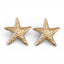 Coastal Chunky Starfish Earrings
