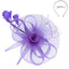Floral Feathered Mesh Fascinator - Hallelu Clothing Boutique