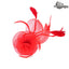 Flower & Feathers Fascinator Clip - Hallelu Clothing Boutique