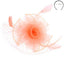 Rose Mesh Feather Fascinator - Hallelu Clothing Boutique