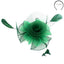 Rose Mesh Feather Fascinator - Hallelu Clothing Boutique