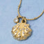 Stainless Steel Sea Shell Necklace - Hallelu Clothing Boutique