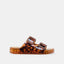 The Julio Sandal - Hallelu Clothing Boutique