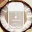 TouchLand Beach Coco - Hallelu Clothing Boutique